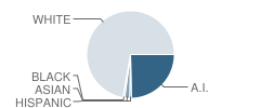 Ninilchik School Student Race Distribution