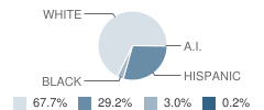 Boaz Elementary School Student Race Distribution