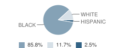 Orchard Elementary School Student Race Distribution