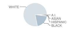 Satsuma High School Student Race Distribution