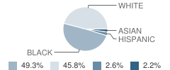 Burns Middle School Student Race Distribution