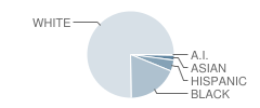 Elsie Collier Elementary School Student Race Distribution