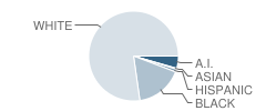 Mcdavid-Jones Elementary School Student Race Distribution