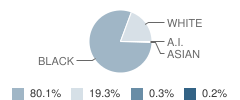 Monroe County High School Student Race Distribution