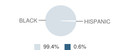 Bellingrath Junior High School Student Race Distribution