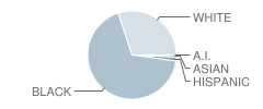 Goodwyn Junior High School Student Race Distribution