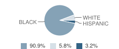 Hayneville Road Elementary School Student Race Distribution