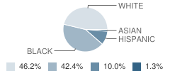 Head Elementary School Student Race Distribution