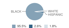 Mcintyre Middle School Student Race Distribution