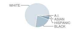 Daphne Middle School Student Race Distribution