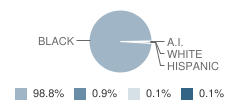 Walter T Mckee Junior High School Student Race Distribution