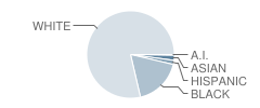 Mcbride Elementary School Student Race Distribution