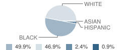 Northside School Student Race Distribution