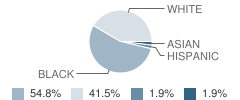 Southview Primary School Student Race Distribution
