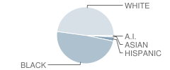 Carroll High School Student Race Distribution