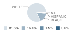 Piedmont High School Student Race Distribution