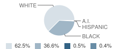 Goshen Elementary School Student Race Distribution