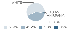 Handley Middle School Student Race Distribution