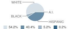 West Elementary School Student Race Distribution