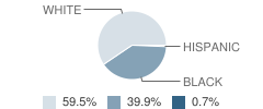 Sheffield Junior High School Student Race Distribution