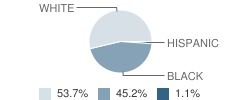 Sheffield High School Student Race Distribution