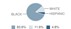 Tarrant Middle School Student Race Distribution