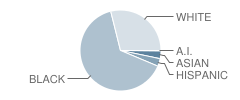 Troy Elementary School Student Race Distribution