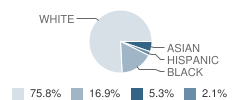 Rock Quarry Elementary School Student Race Distribution