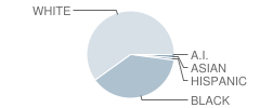 Hillcrest High School Student Race Distribution