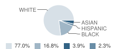 Faucett-Vestavia Elementary School Student Race Distribution