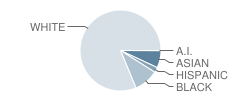 Louis Pizitz Middle School Student Race Distribution