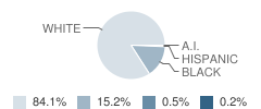 Dora High School Student Race Distribution