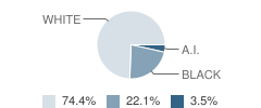 Chatom Elementary School Student Race Distribution