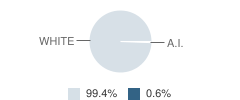 Winston County High School Student Race Distribution