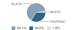 Gibson Elementary School Student Race Distribution