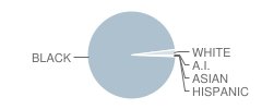 Sun Valley Elementary School Student Race Distribution