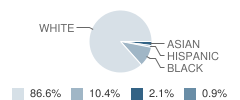 Hewitt-Trussville Middle School Student Race Distribution