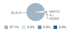 Ossie Ware Mitchell Elementary School Student Race Distribution