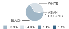 Greenville Elementary School Student Race Distribution