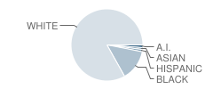 Centre Middle School Student Race Distribution