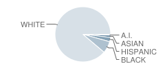 Spanish Fort Middle School Student Race Distribution