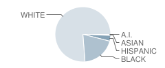 Ashland Elementary School Student Race Distribution