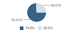 Repton Junior High School Student Race Distribution