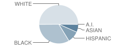 Rocky Ridge Elementary School Student Race Distribution