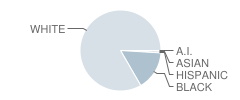 Red Level High School Student Race Distribution