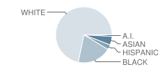 Horizon Elementary School Student Race Distribution