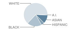 Madison Elementary School Student Race Distribution