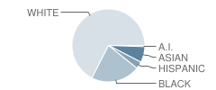 Liberty Middle School Student Race Distribution