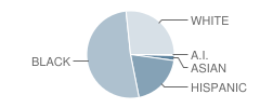 Woodmeade Elementary School Student Race Distribution