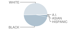 Us Jones Elementary School Student Race Distribution